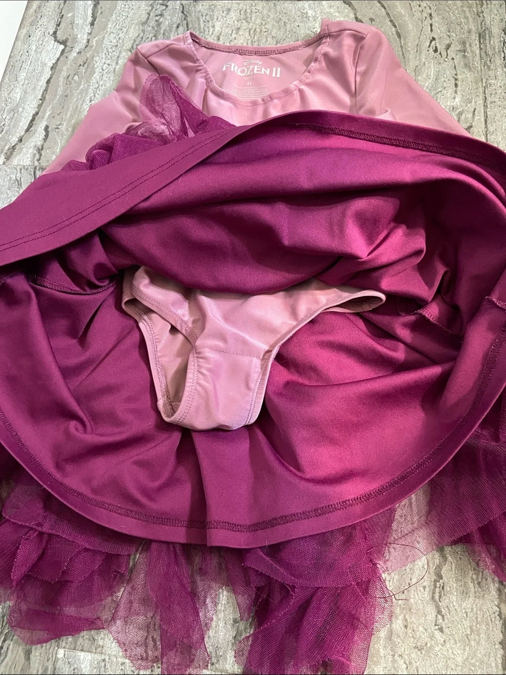 Disney Pink and Magenta Elsa Tutu Dress Costume